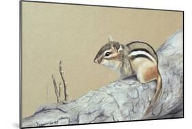 Chipmunk-Rusty Frentner-Mounted Giclee Print