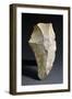 Chipped Hand Axe, Prehistoric Civilization, Paleolithic Period-null-Framed Giclee Print