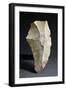 Chipped Hand Axe, Prehistoric Civilization, Paleolithic Period-null-Framed Giclee Print