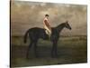 Chippendale, A Racehorse with jockey up on Newmarket Racecourse, 1874-Harry Hall-Stretched Canvas