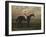 Chippendale, A Racehorse with jockey up on Newmarket Racecourse, 1874-Harry Hall-Framed Giclee Print