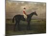 Chippendale, A Racehorse with jockey up on Newmarket Racecourse, 1874-Harry Hall-Mounted Giclee Print