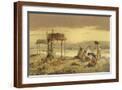 Brown Frame