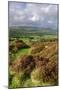 Chipping Vale from Longridge Fell, Lancashire-Peter Thompson-Mounted Photographic Print