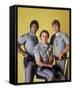 CHiPs-null-Framed Stretched Canvas