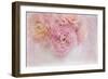 Chique Bouquet-Cora Niele-Framed Photographic Print