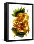 Chiquita Sunflower-Julia McLemore-Framed Stretched Canvas