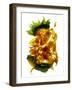 Chiquita Sunflower-Julia McLemore-Framed Photographic Print