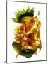 Chiquita Sunflower-Julia McLemore-Mounted Photographic Print