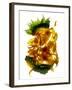 Chiquita Sunflower-Julia McLemore-Framed Photographic Print