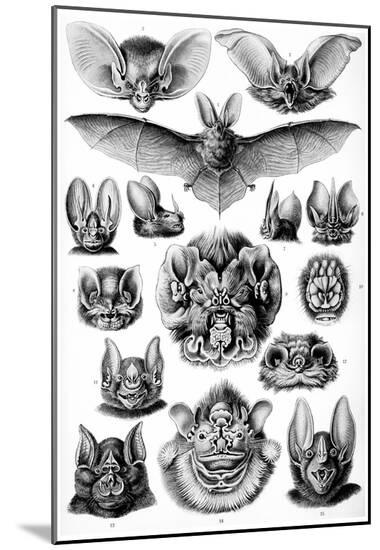 Poster, , large