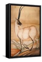 Chiru, 1840-Brian Houghton Hodgson-Framed Stretched Canvas