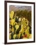 Chisos Mountains and Prickly Pear Cactus, Big Bend National Park, Brewster Co., Texas, Usa-Larry Ditto-Framed Premium Photographic Print