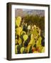 Chisos Mountains and Prickly Pear Cactus, Big Bend National Park, Brewster Co., Texas, Usa-Larry Ditto-Framed Photographic Print