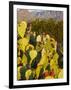 Chisos Mountains and Prickly Pear Cactus, Big Bend National Park, Brewster Co., Texas, Usa-Larry Ditto-Framed Photographic Print