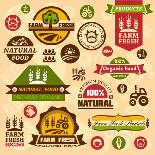 Farm Logo Labels and Designs-Chistoprudnaya-Art Print