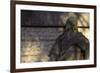 Chiswick House, Chiswick, London. Detail of Rusticated Wall and Male Statue-Richard Bryant-Framed Photographic Print