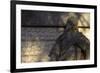 Chiswick House, Chiswick, London. Detail of Rusticated Wall and Male Statue-Richard Bryant-Framed Photographic Print