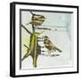 Chit, Chat, Chirp-Gina Miller-Framed Art Print