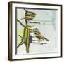 Chit, Chat, Chirp-Gina Miller-Framed Art Print