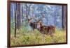 Chital, Madhya Pradesh, India-Art Wolfe Wolfe-Framed Photographic Print