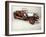 Chitty Chitty Bang Bang-null-Framed Photographic Print