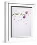 Chives, Allium, Allium Schoenoprasum, Stalks, Green, Blossoms, Chives Blossom-Axel Killian-Framed Photographic Print