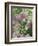 Chives and Carraway, Louisville, Kentucky, USA-Adam Jones-Framed Photographic Print