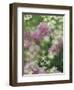 Chives and Carraway, Louisville, Kentucky, USA-Adam Jones-Framed Photographic Print