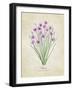 Chives Vintage-Rosana Laiz Blursbyai-Framed Photographic Print