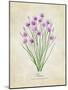 Chives Vintage-Rosana Laiz Blursbyai-Mounted Photographic Print