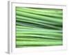 Chives-Ulrike Holsten-Framed Photographic Print