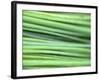 Chives-Ulrike Holsten-Framed Photographic Print