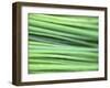 Chives-Ulrike Holsten-Framed Photographic Print