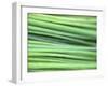 Chives-Ulrike Holsten-Framed Photographic Print