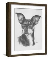 Chiweenie-Barbara Keith-Framed Giclee Print