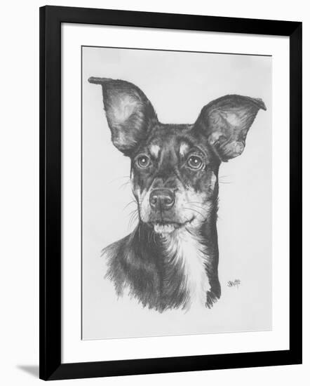 Chiweenie-Barbara Keith-Framed Giclee Print