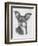 Chiweenie-Barbara Keith-Framed Giclee Print