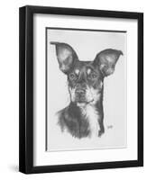 Chiweenie-Barbara Keith-Framed Giclee Print