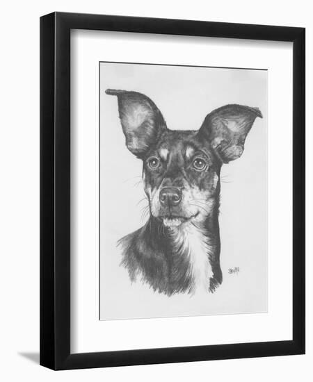 Chiweenie-Barbara Keith-Framed Giclee Print