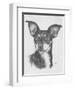 Chiweenie-Barbara Keith-Framed Giclee Print