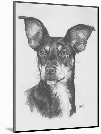 Chiweenie-Barbara Keith-Mounted Giclee Print