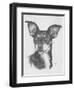 Chiweenie-Barbara Keith-Framed Premium Giclee Print