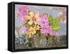 Chloe Rose Flowers-Blenda Tyvoll-Framed Stretched Canvas