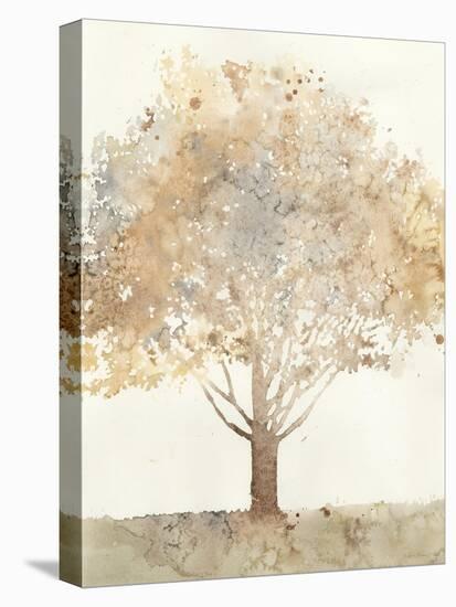 Chloe's Tree I-Megan Meagher-Stretched Canvas