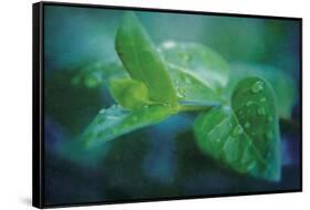 chlorophill-Viviane Fedieu Danielle-Framed Stretched Canvas