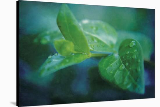 chlorophill-Viviane Fedieu Danielle-Stretched Canvas