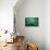 chlorophill-Viviane Fedieu Danielle-Photographic Print displayed on a wall