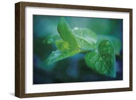 chlorophill-Viviane Fedieu Danielle-Framed Photographic Print