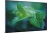 chlorophill-Viviane Fedieu Danielle-Mounted Photographic Print